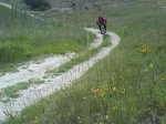 DSC00045.jpg