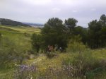 DSC00066.jpg