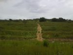 DSC00076.JPG