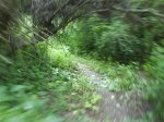 DSC00116.jpg