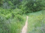 DSC00120.jpg