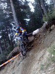 m_08062008088.jpg
