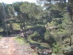 Ruta 17. Las SSS 017.jpg