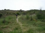 DSC05510_resize.JPG