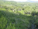 Ruta 17. Las SSS 067.jpg