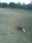 DSC00062.jpg
