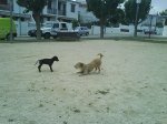 DSC00068.jpg