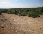 IMG_2801.jpg