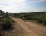 IMG_2811.jpg