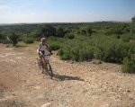 IMG_2818.jpg