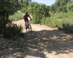 IMG_2860.jpg