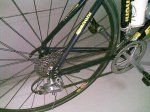 bianchi_2.jpg