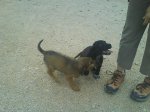DSC00050.jpg