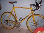 pinarello.jpg
