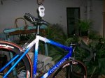 Peso de la Colnago 2.JPG