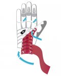 wrister_diag.jpg