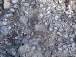 Imagen022.jpg
