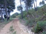 Imagen050.jpg