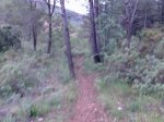 Imagen063.jpg