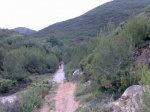 Imagen067.jpg