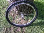 rueda del 2.jpg