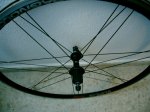 PHTO0181.JPG