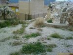 IMAGE_00408.jpg