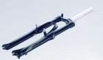 axon s-rl.jpg