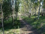 DSCF1341.JPG