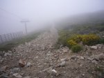 Foto6.JPG