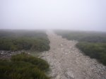Foto9.JPG