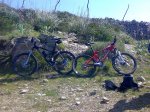 la bici de robe y la mia.jpg