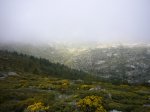 Foto48.JPG
