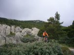 Foto61.JPG