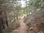 Foto62.JPG