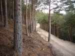 Foto64.JPG
