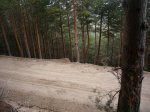 Foto65.JPG