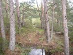 Foto67.JPG