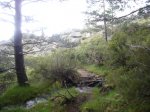 Foto68.JPG