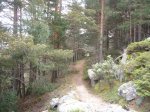 Foto74.JPG