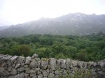 Foto77.JPG