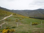 Morcuera 08-06-08 006.jpg