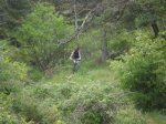 Morcuera 08-06-08 015.jpg