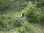 Morcuera 08-06-08 016.jpg