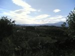 duatlon 08-06-2008 002.jpg