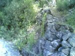 duatlon 08-06-2008 003.jpg