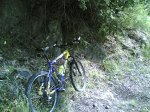 duatlon 08-06-2008 004.jpg