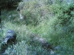 duatlon 08-06-2008 005.jpg