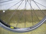 mavic cosmic elite 005r.jpg