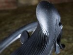 Campagnolo_2009_hood2-798-99.jpg